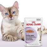 muestras-gratuitas-sterilised-gatos