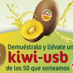 memoria usb kiwi zespri