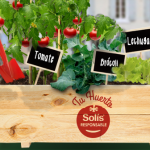 Huerto Urbano Gratis - Promoción tomate "Solís"